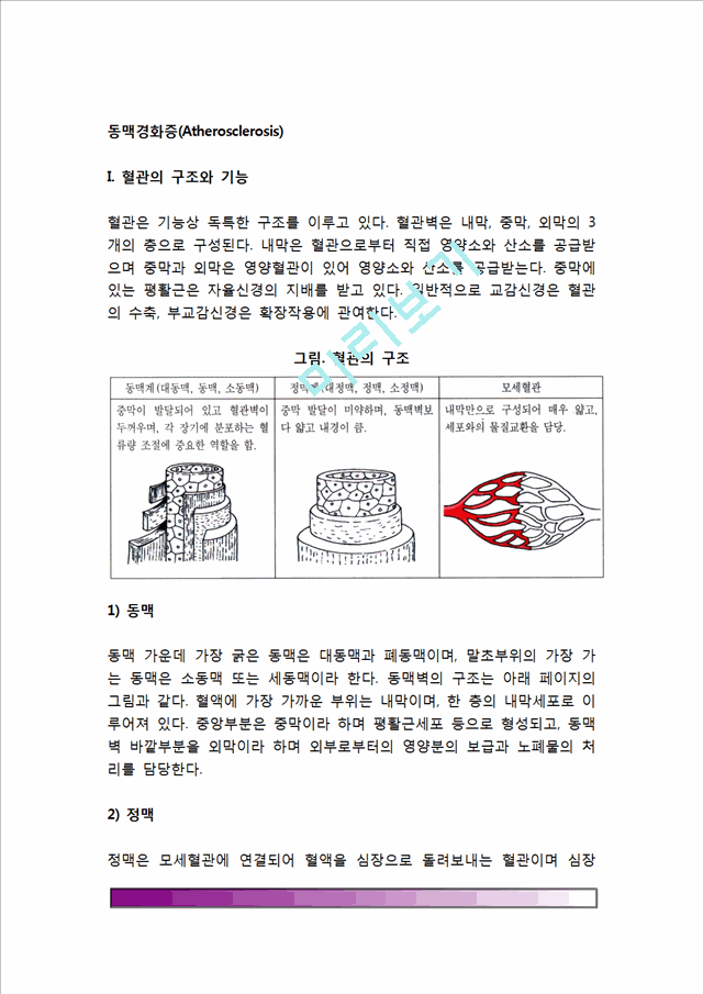 [동맥경화증] 동맥경화의 원인(요인)과 분류(종류-아테롬경화,중막경화,세동맥경화), 동맥경화의 증상 및 합병증, 동맥경화증 치료의 식사요법(식이요법).hwp